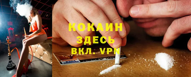 как найти   Курчалой  COCAIN Эквадор 