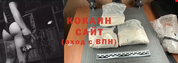 соль ск Надым