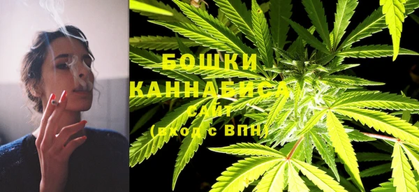 соль ск Надым