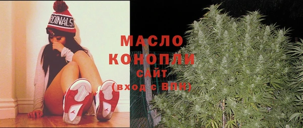 соль ск Надым
